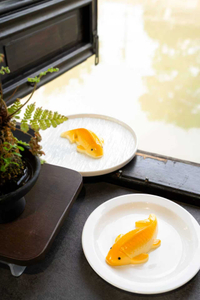 Mandarin Koi Mousse kage